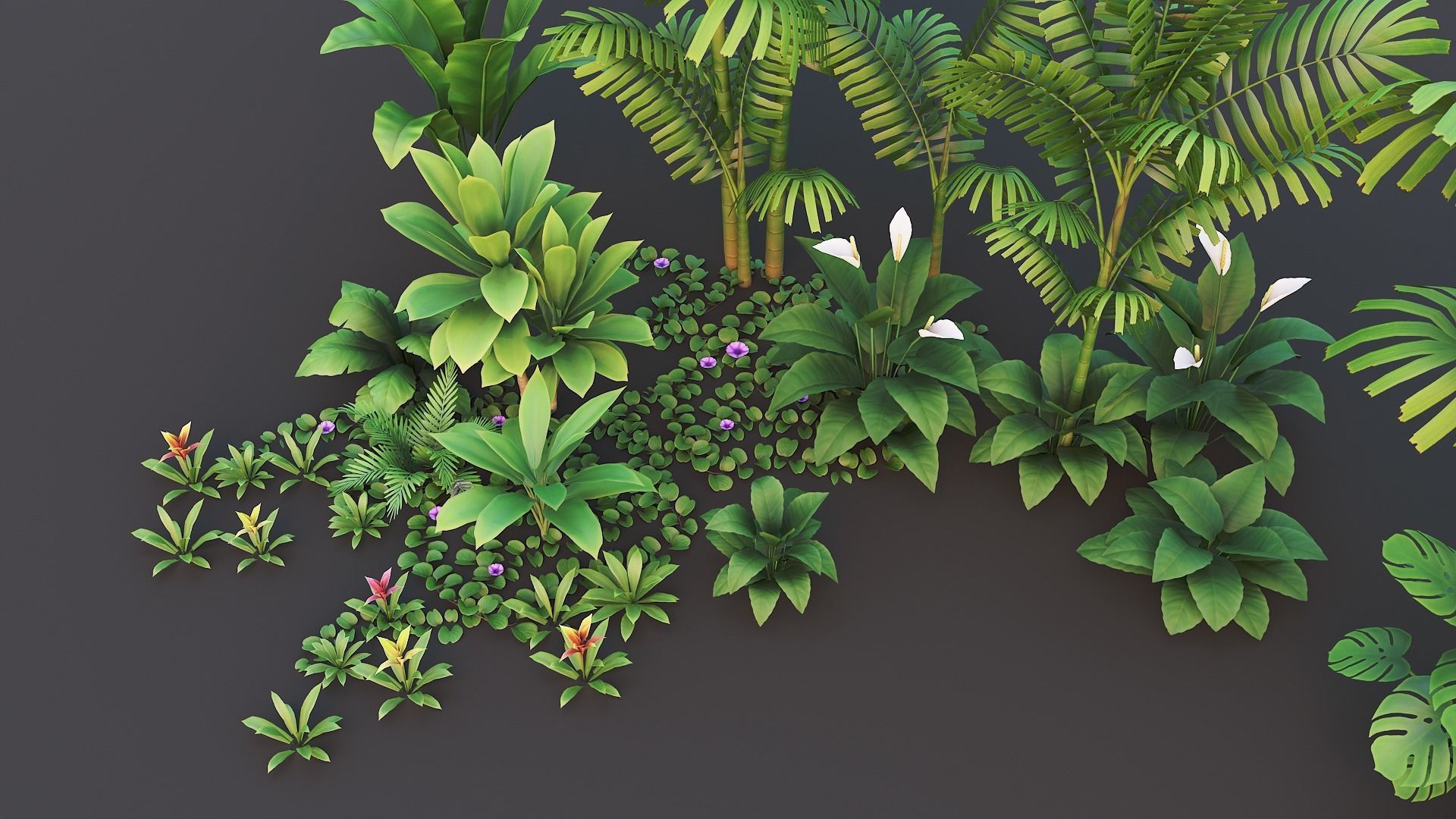 Tropical plants pack G94 Low-poly 3D model_11