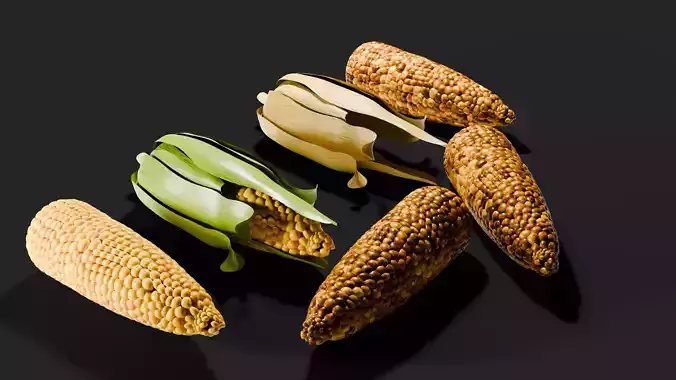 Realistic roasted Corn maize  pbr 