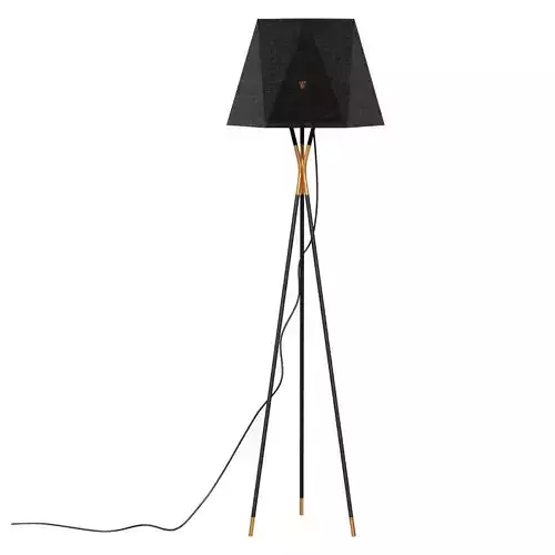 Trinagar by Light Room Floor Lamp