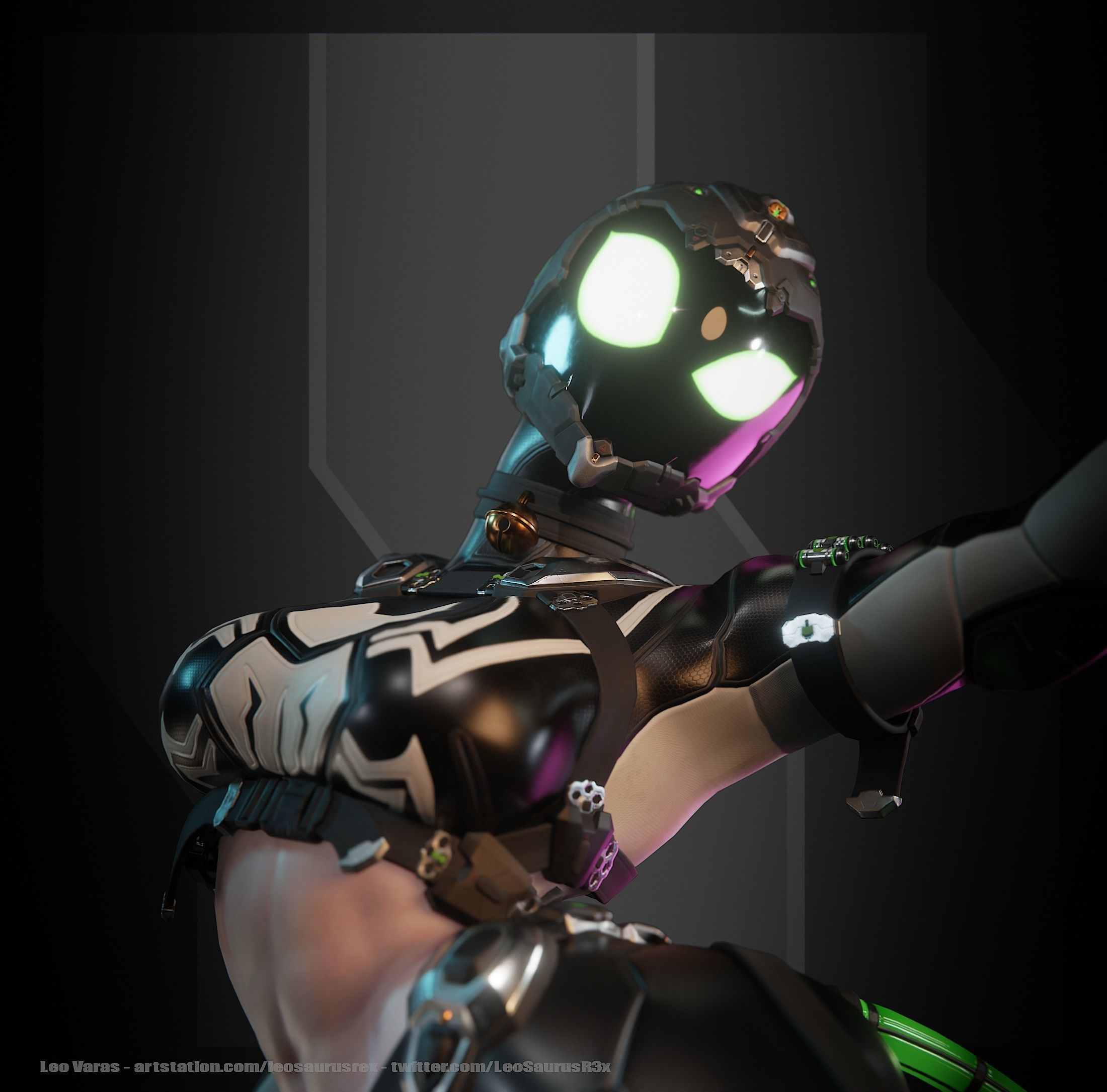 SpiderCat Low-poly 3D model_17