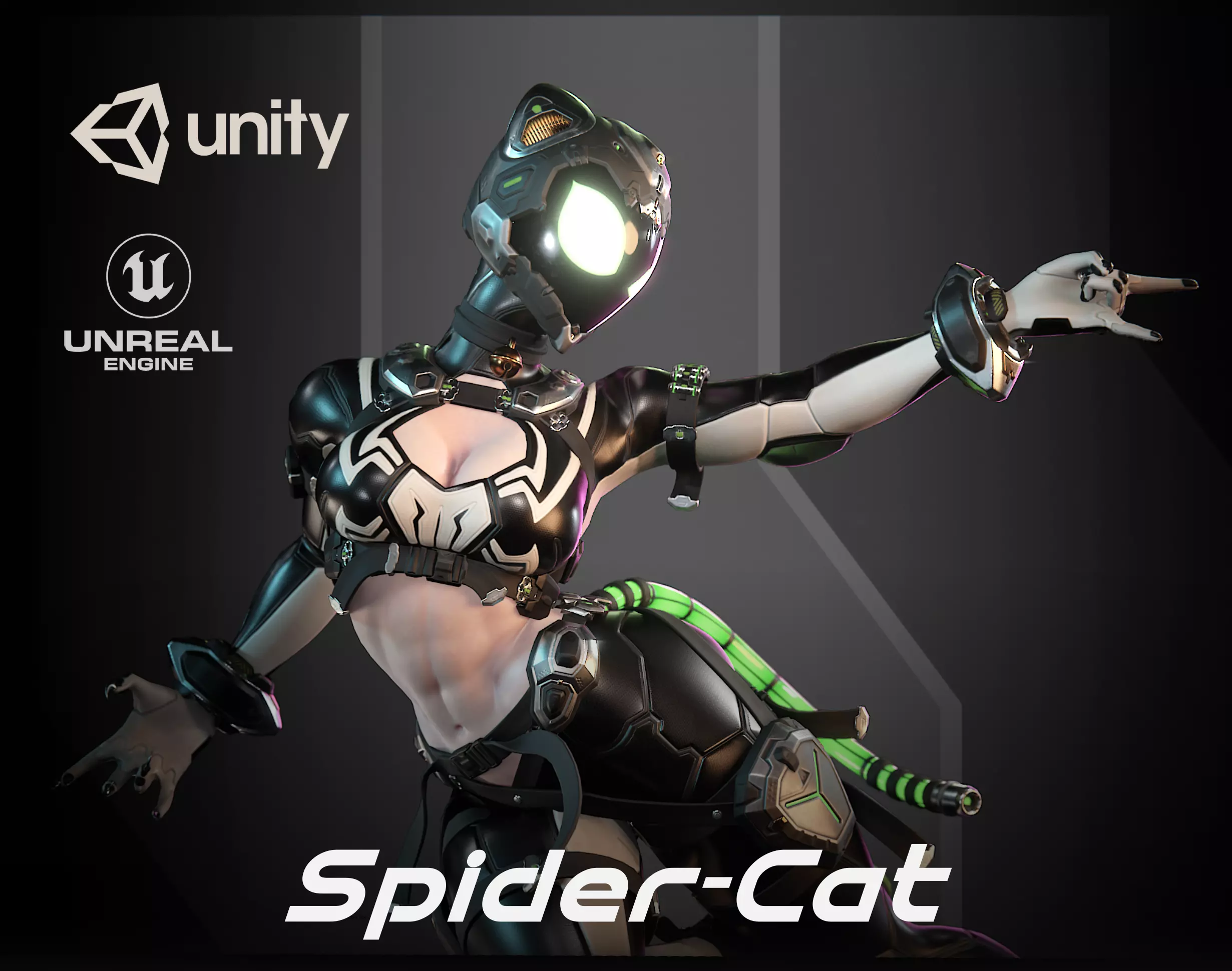 SpiderCat Low-poly 3D model_0
