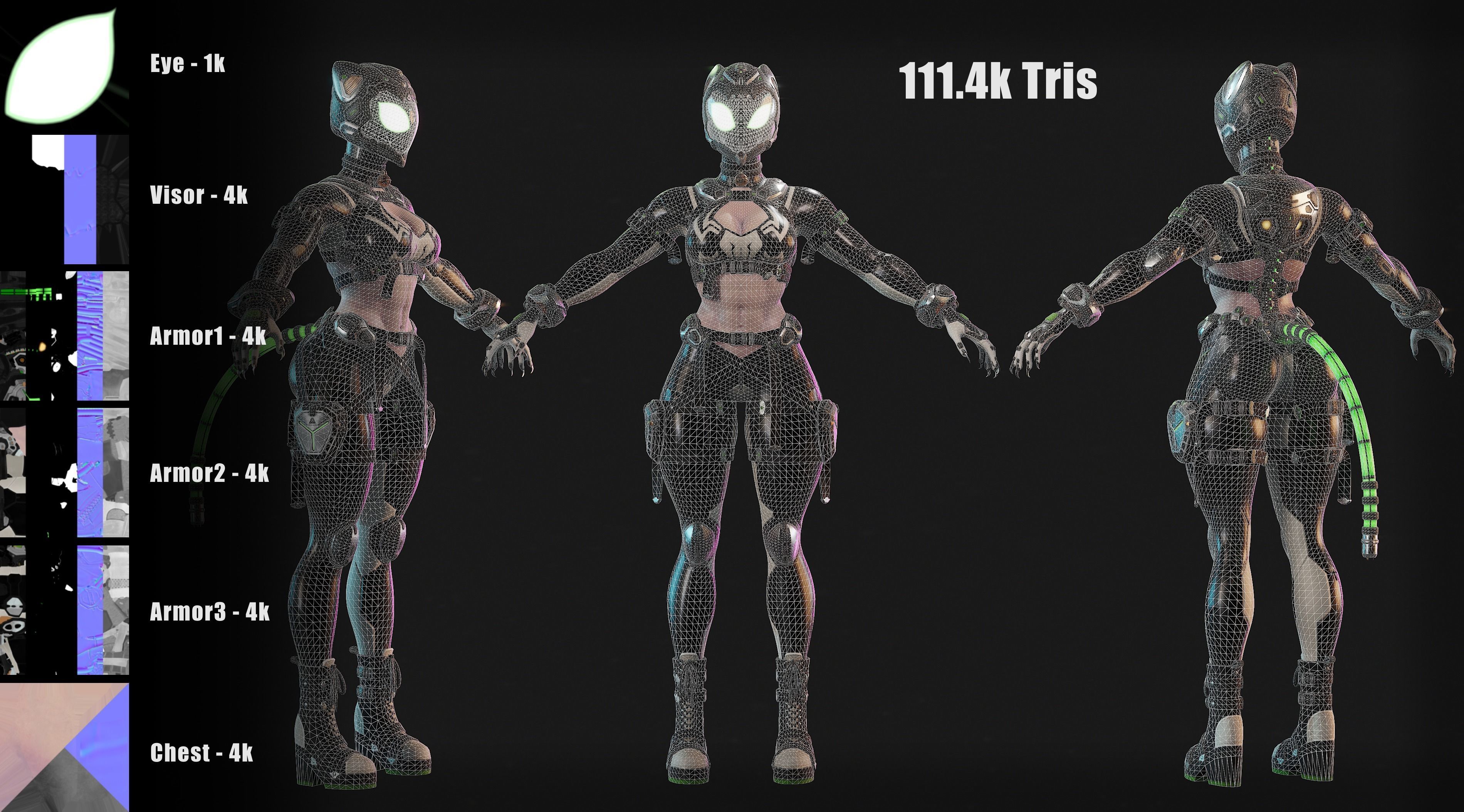 SpiderCat Low-poly 3D model_19