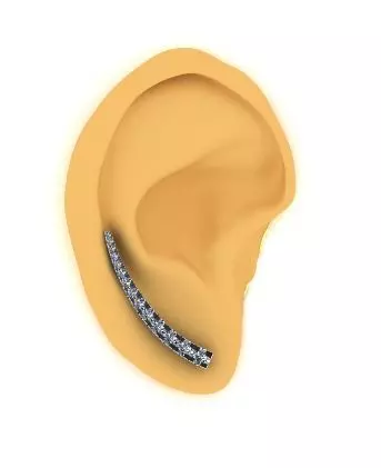 Ear decoration N01579 3D print model