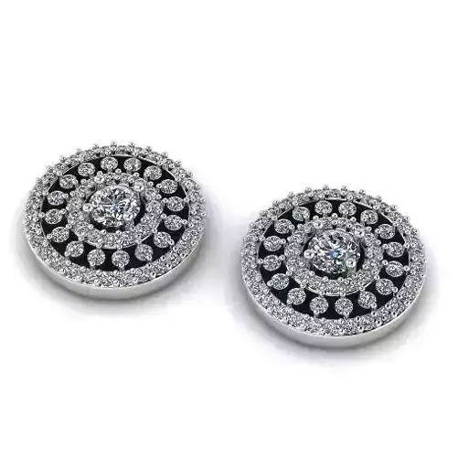 Earrings N01649
