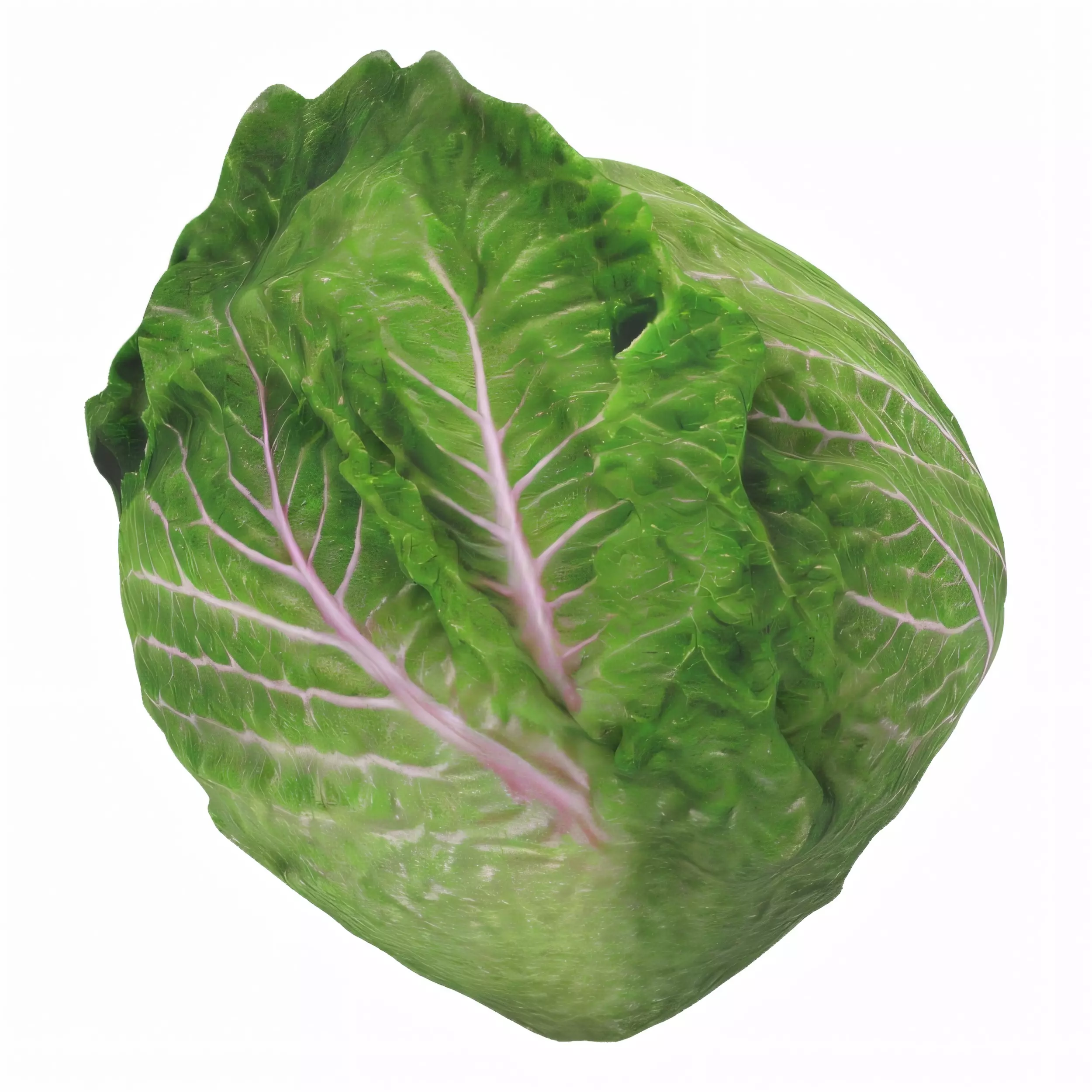Hyper-Realistic Lettuce 3D model_0