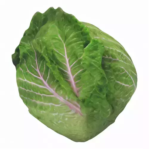 Hyper-Realistic Lettuce 3D model