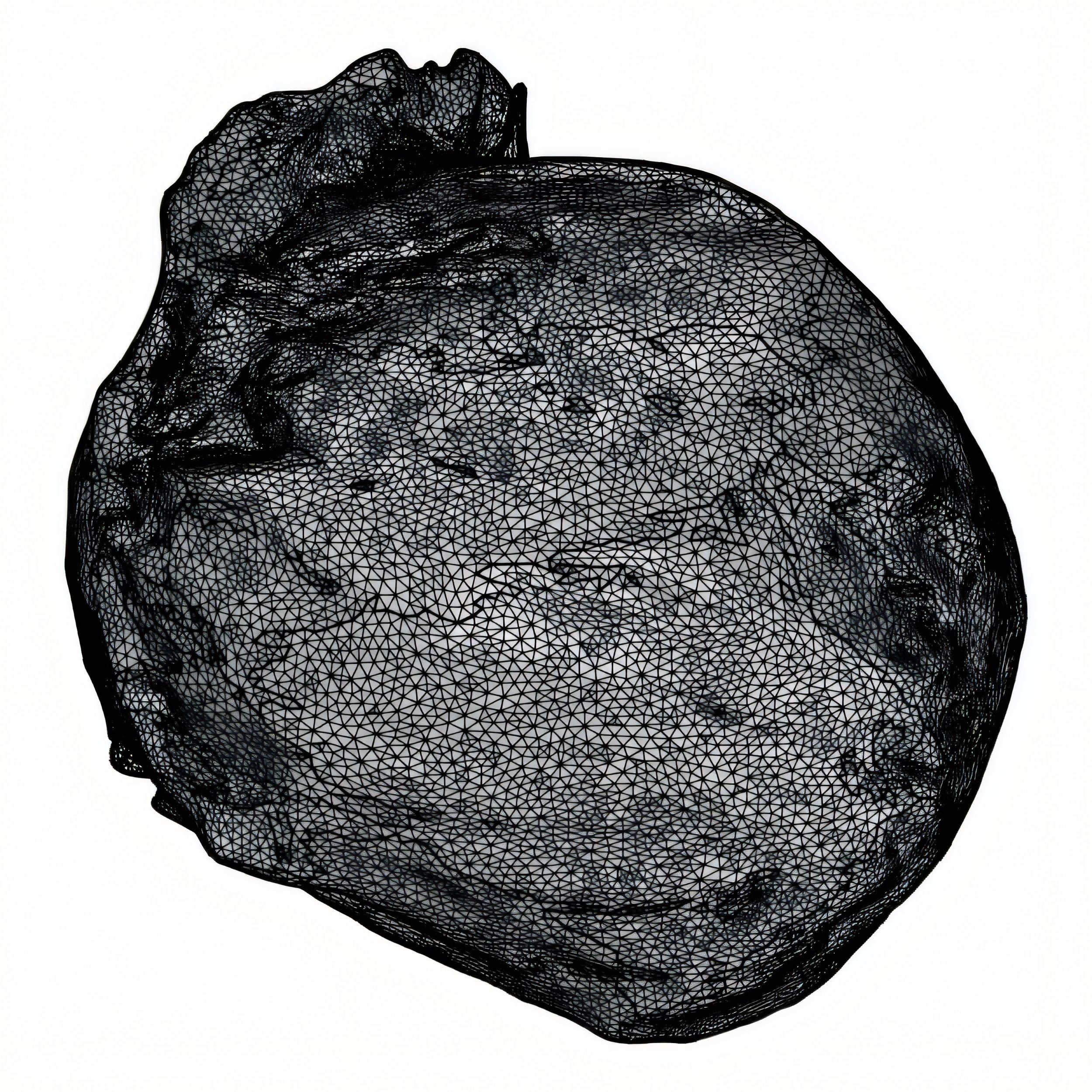 Hyper-Realistic Lettuce 3D model_6