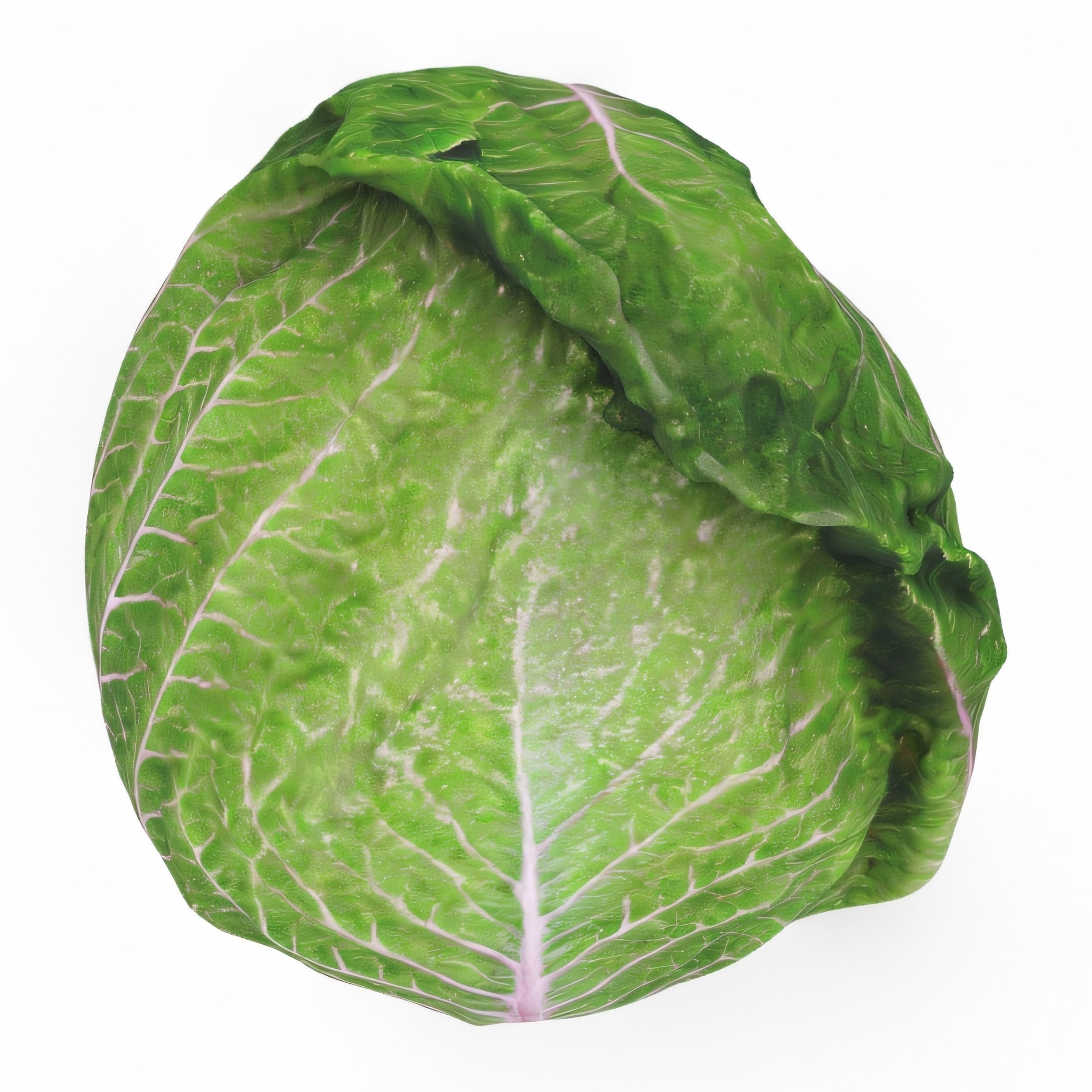 Hyper-Realistic Lettuce 3D model_11