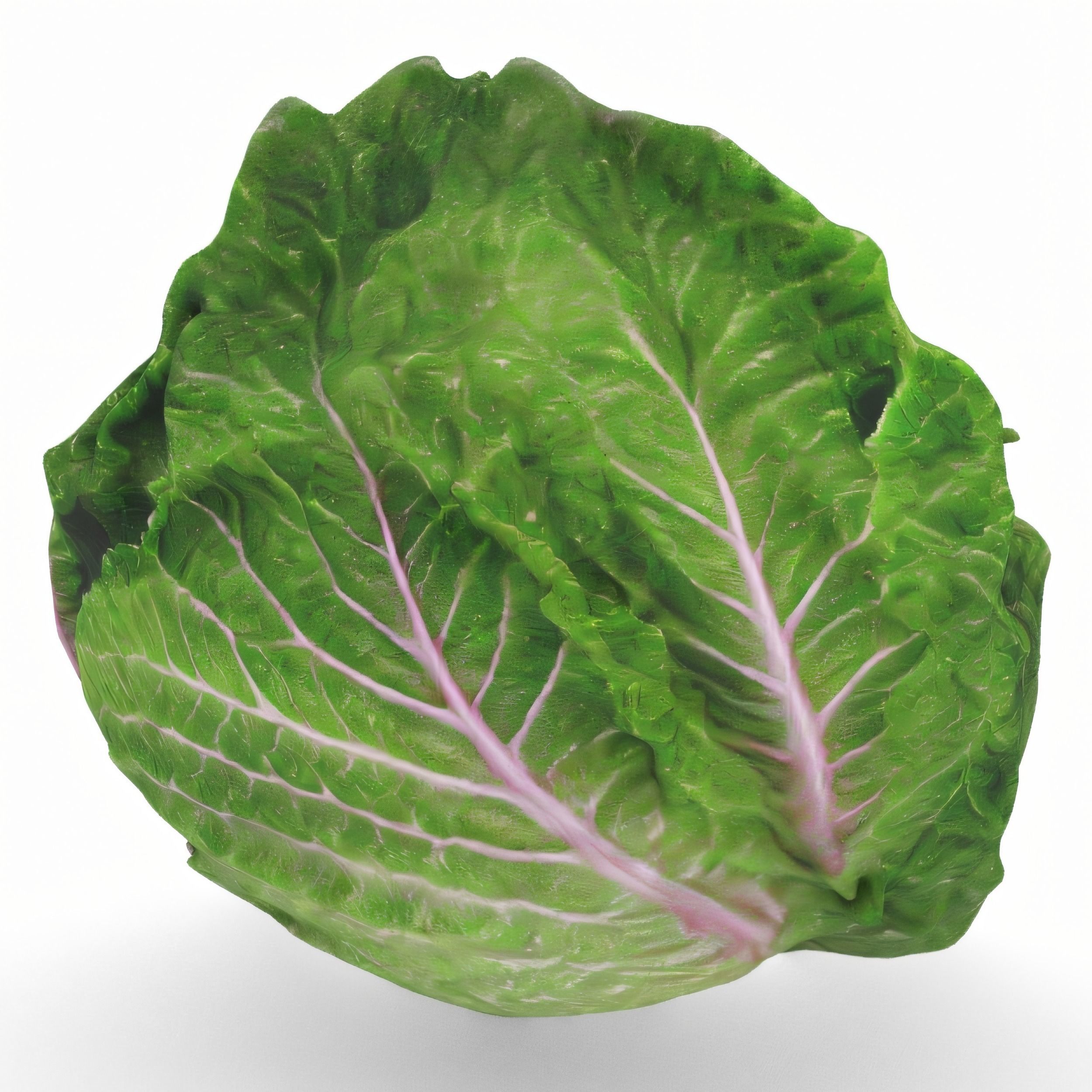 Hyper-Realistic Lettuce 3D model_7