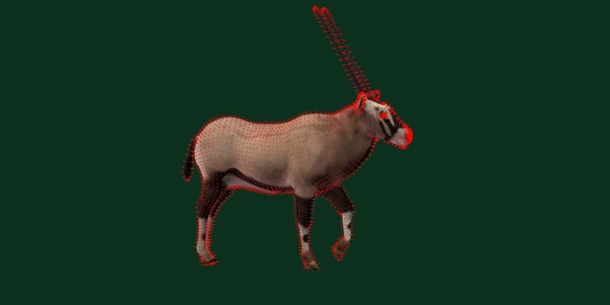 Gemsbok Oryx Antelope Low-poly 3D model_6