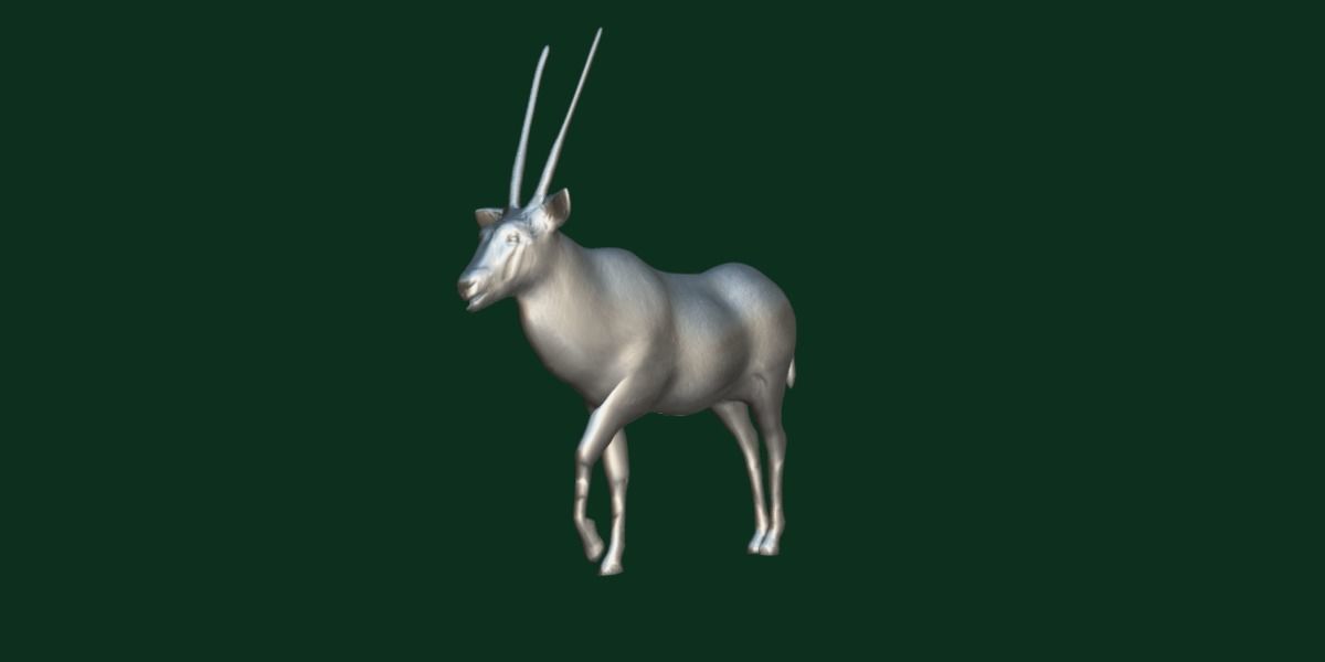 Gemsbok Oryx Antelope Low-poly 3D model_19