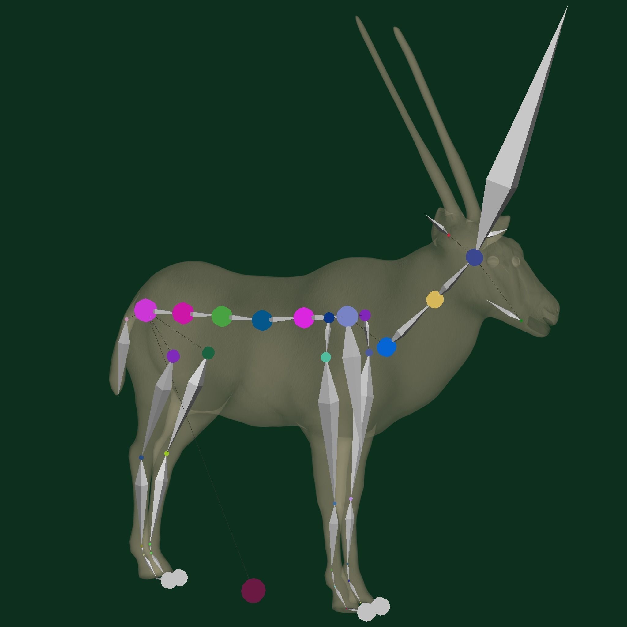 Gemsbok Oryx Antelope Low-poly 3D model_11