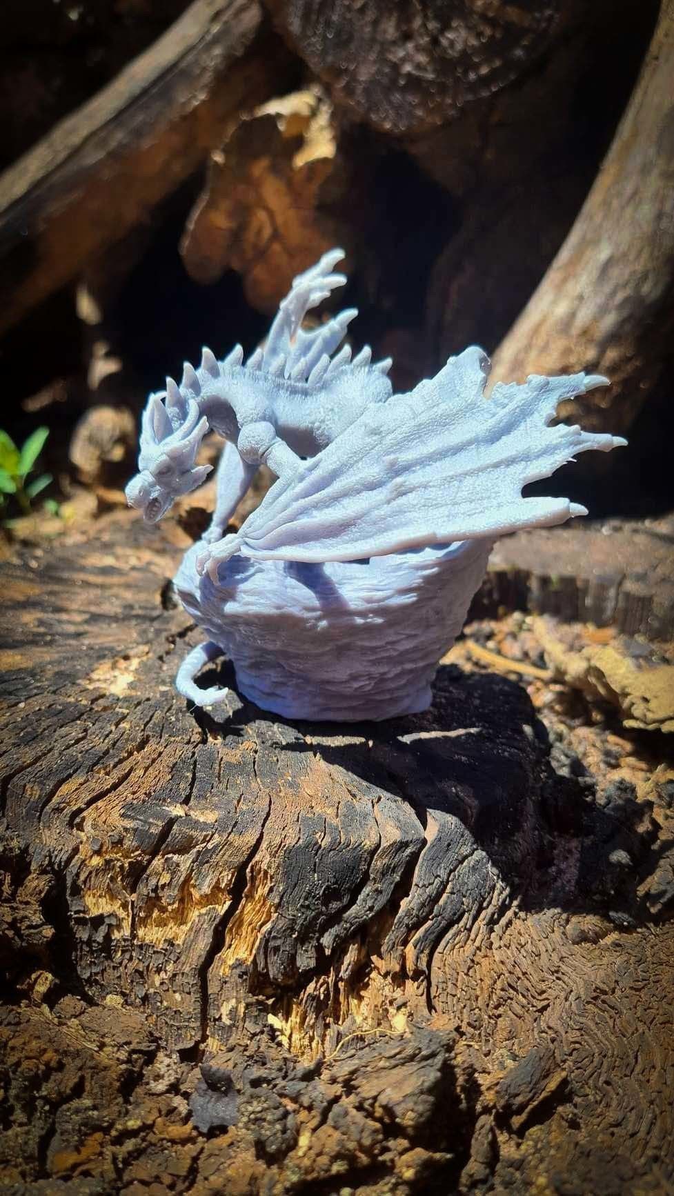 Dragon Fantasy 3D print model_13