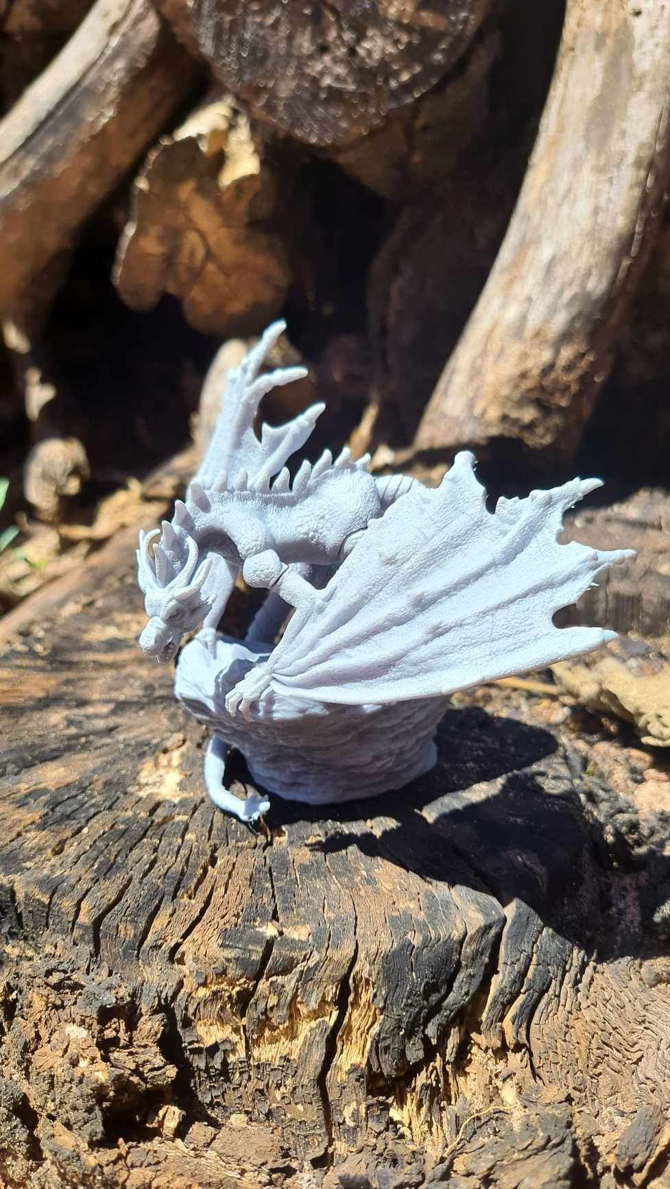 Dragon Fantasy 3D print model_9