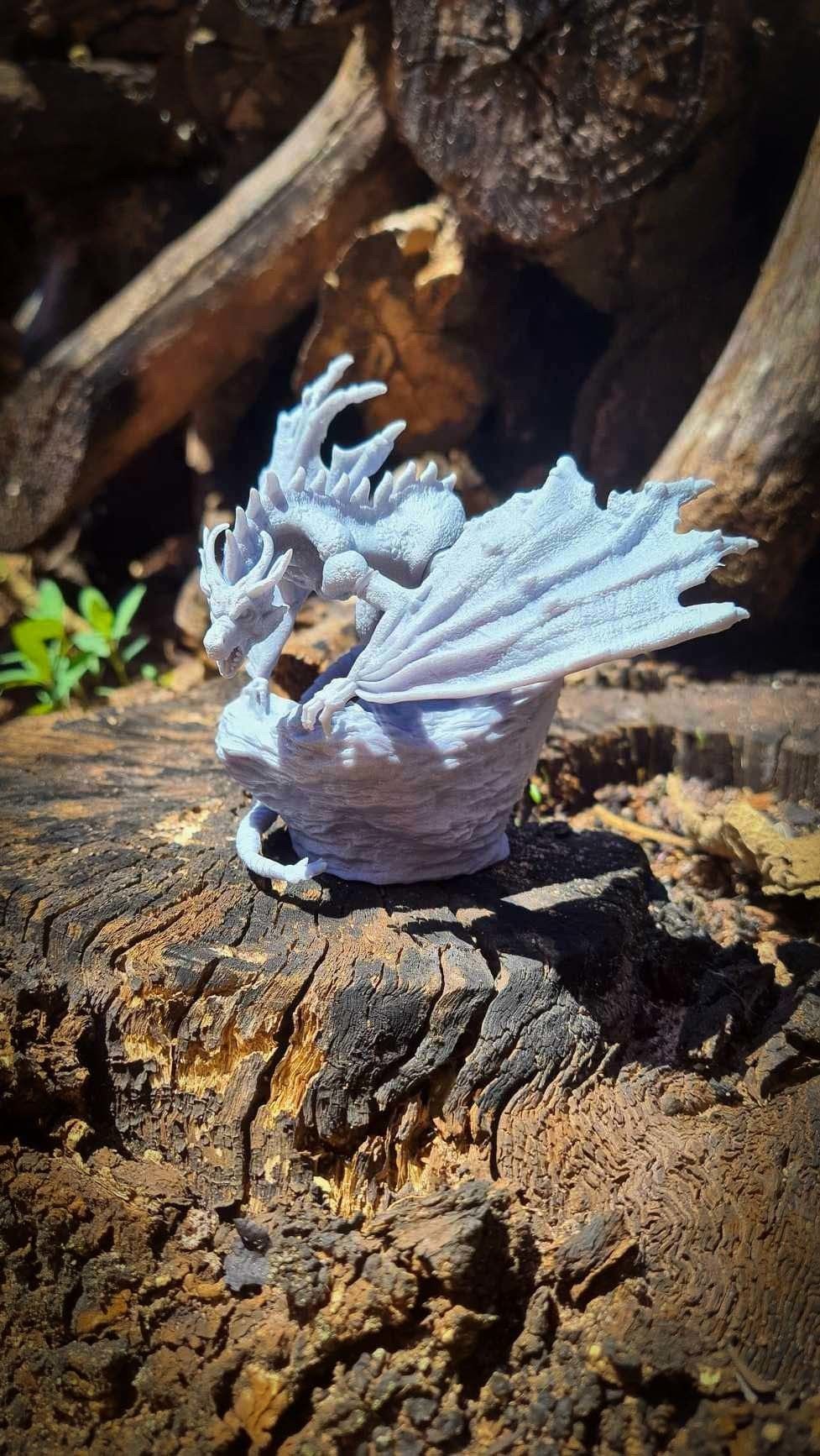 Dragon Fantasy 3D print model_8
