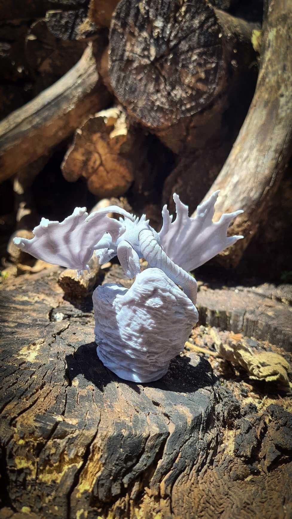 Dragon Fantasy 3D print model_12