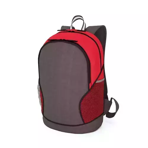 Red and Black Fabric School Backpack