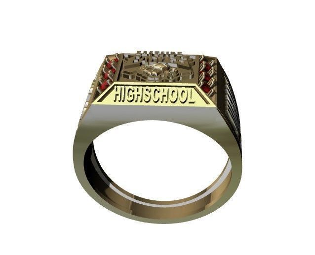 anillo de grados  3D print model_2