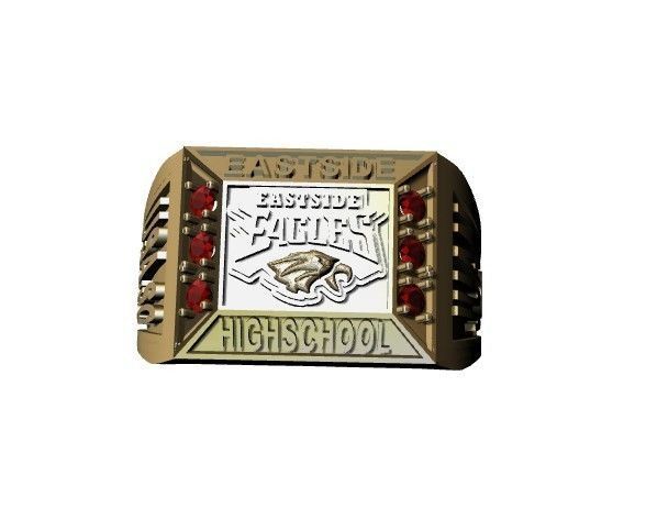 anillo de grados  3D print model_3