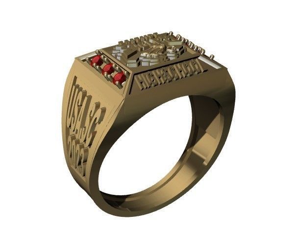 anillo de grados  3D print model_1