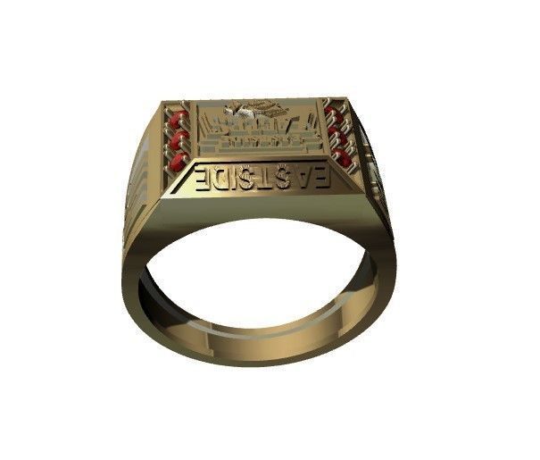 anillo de grados  3D print model_4