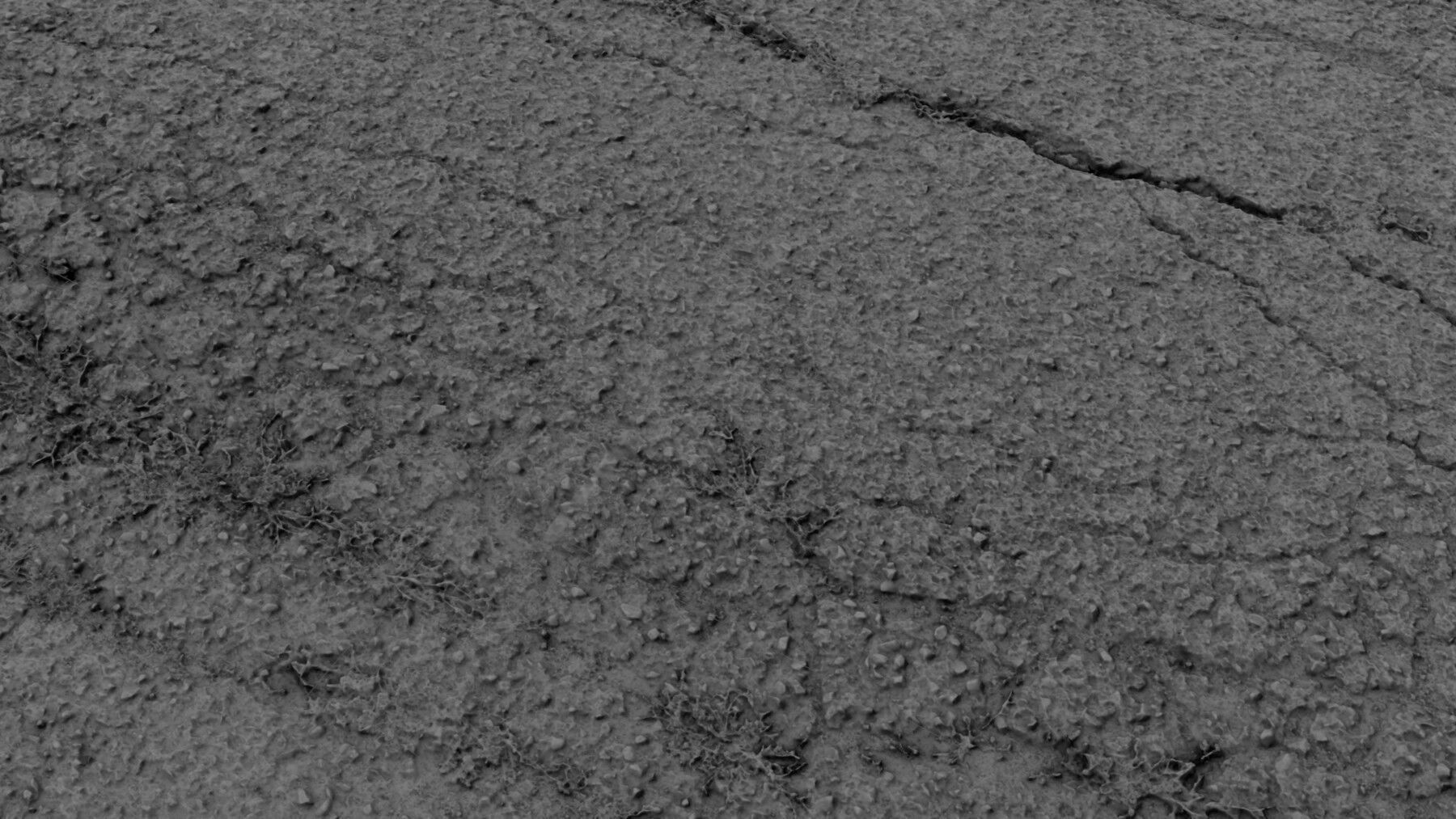 scanroadcampo01fs 3D model_3