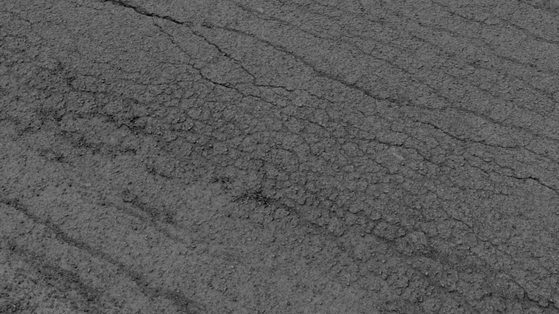 scanroadcampo01fs 3D model_6