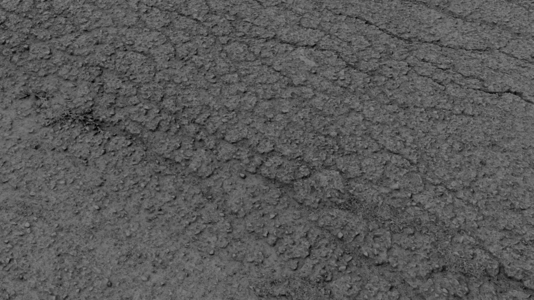 scanroadcampo01fs 3D model_7