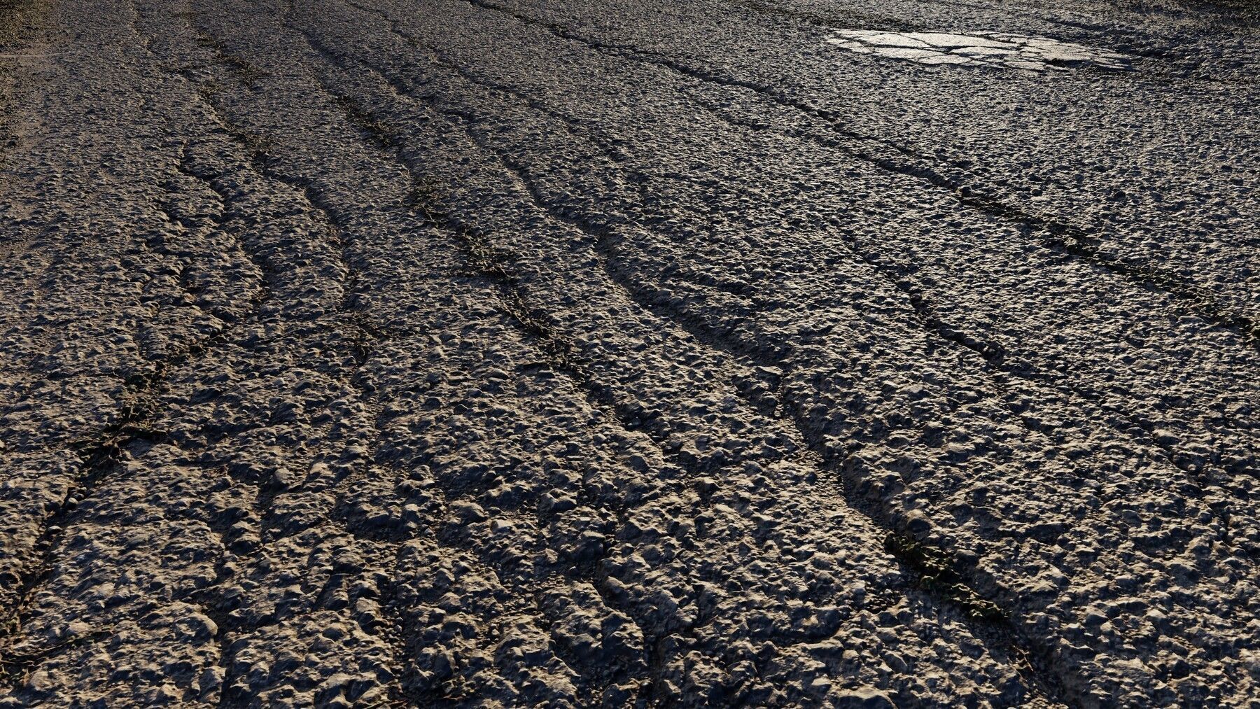 scanroadcampo01fs 3D model_12