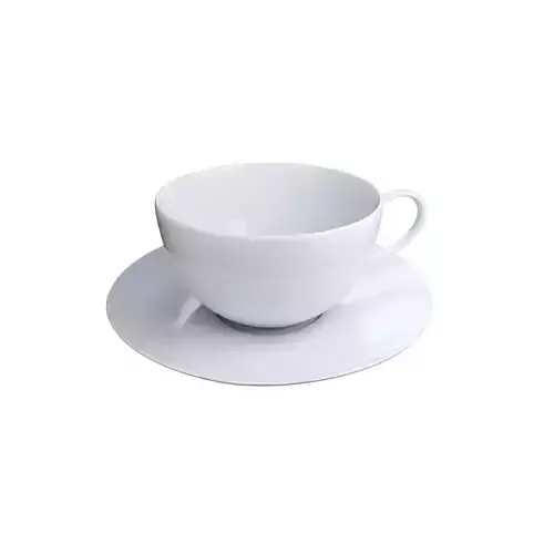 Tea cup and plate