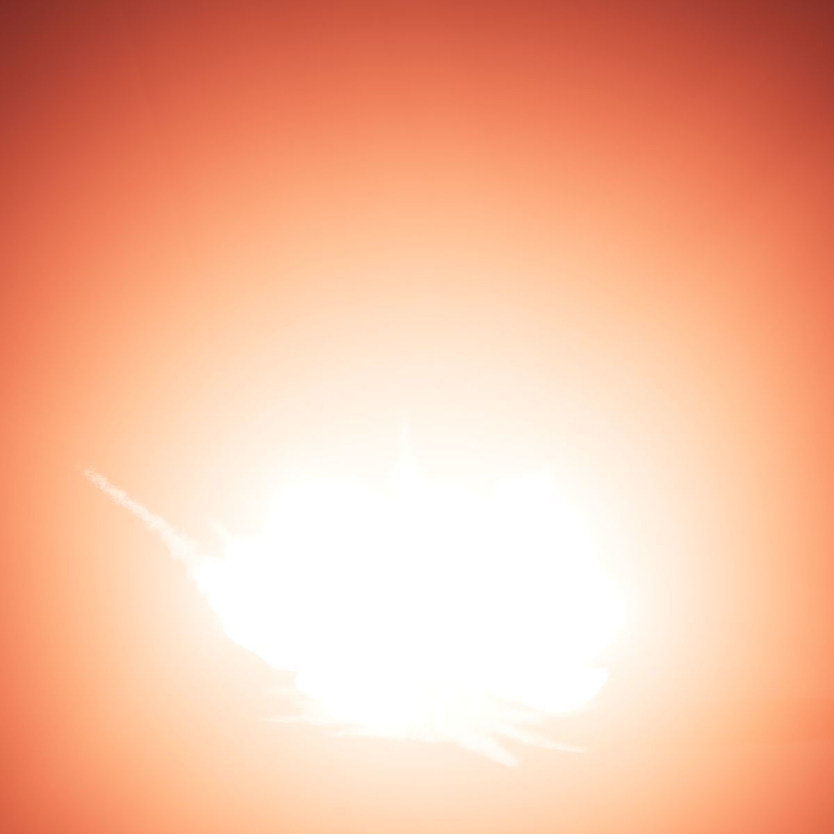 Animated Explosion 9 vol2 3D model_2