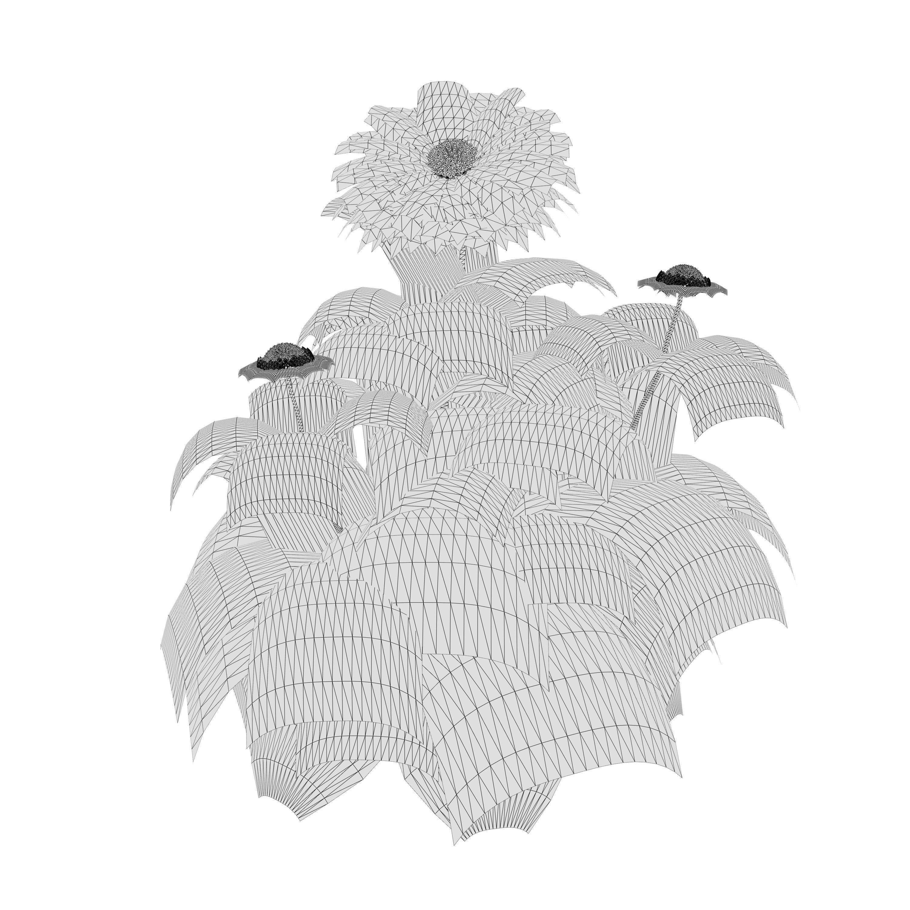 Arizona Red Shades Blanket Flowers 3d with free tutorial Low-poly 3D model_13