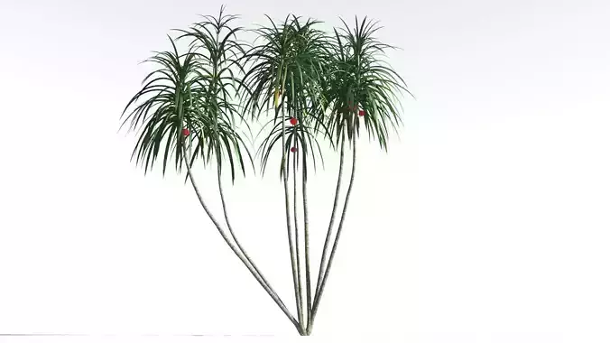 EVERYPlant Scrub Breadfruit 1 --18 Models-- 3D model