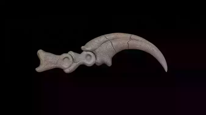Velociraptor Killing Claw 3D print model
