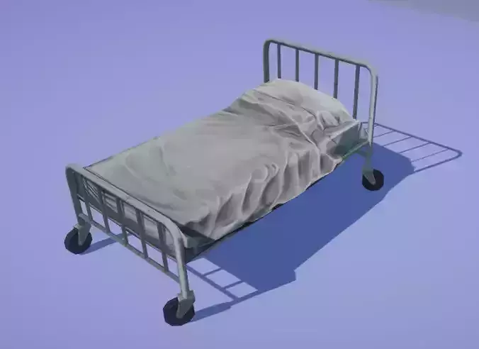 Hospital Bed