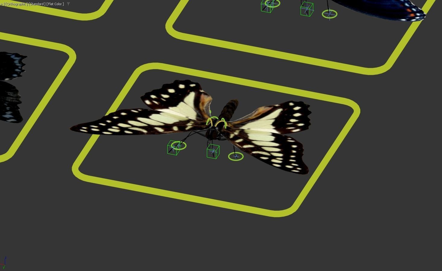 Butterfly realistic 3D model_8