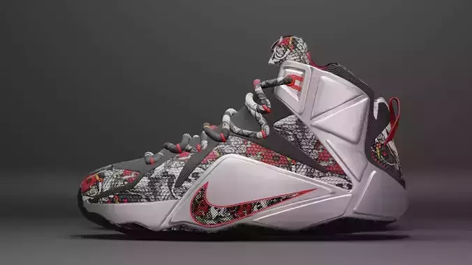 Nike Lebron silver and red