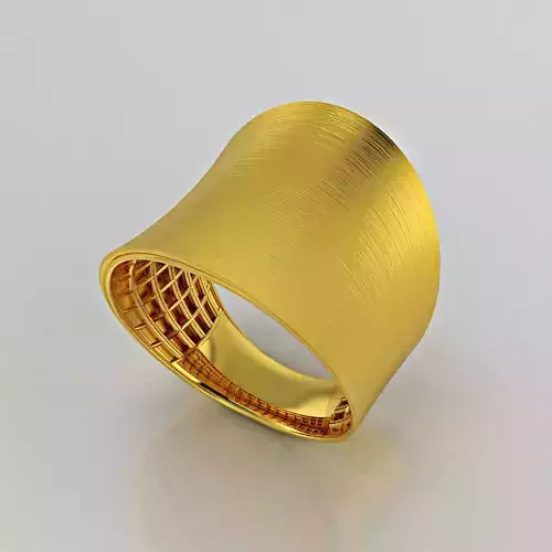 Ring 003