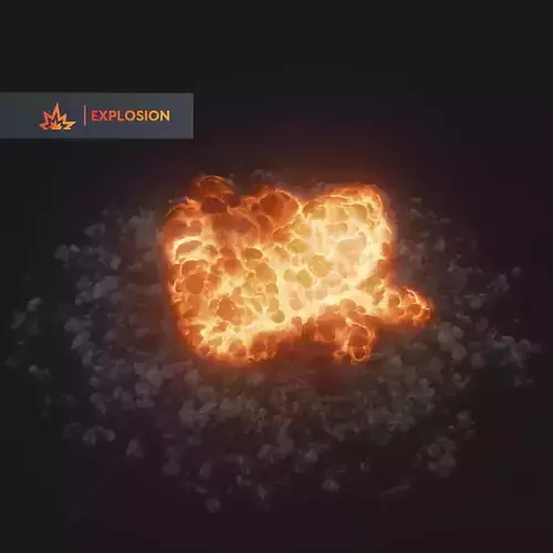 3D Explosion Animation 3D model
