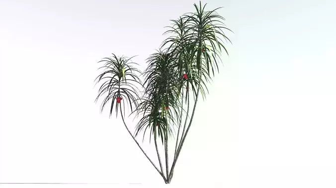 EVERYPlant Scrub Breadfruit 2 --18 Models-- 3D model