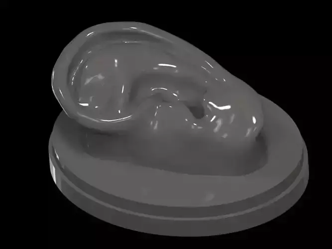 The ear 3D print model