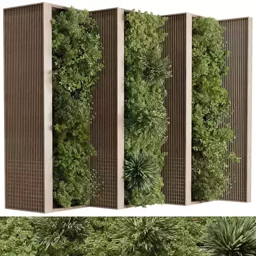 Plants Set Partition In Wooden Frame - Vertical Graden