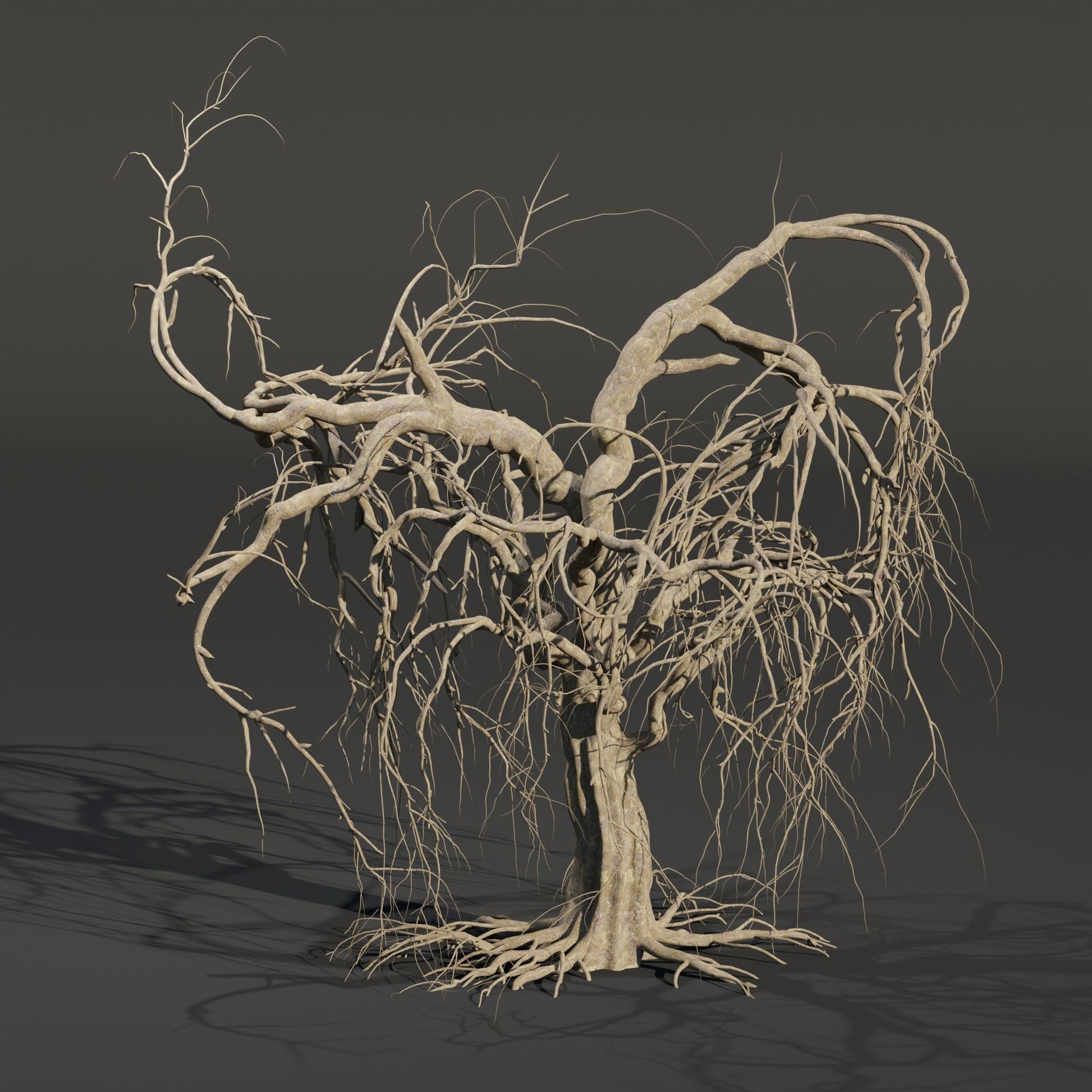 Dead weeping tree vol 188-Blender 3D model_2