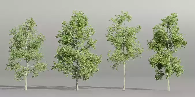 Trees collection vol 189-Blender