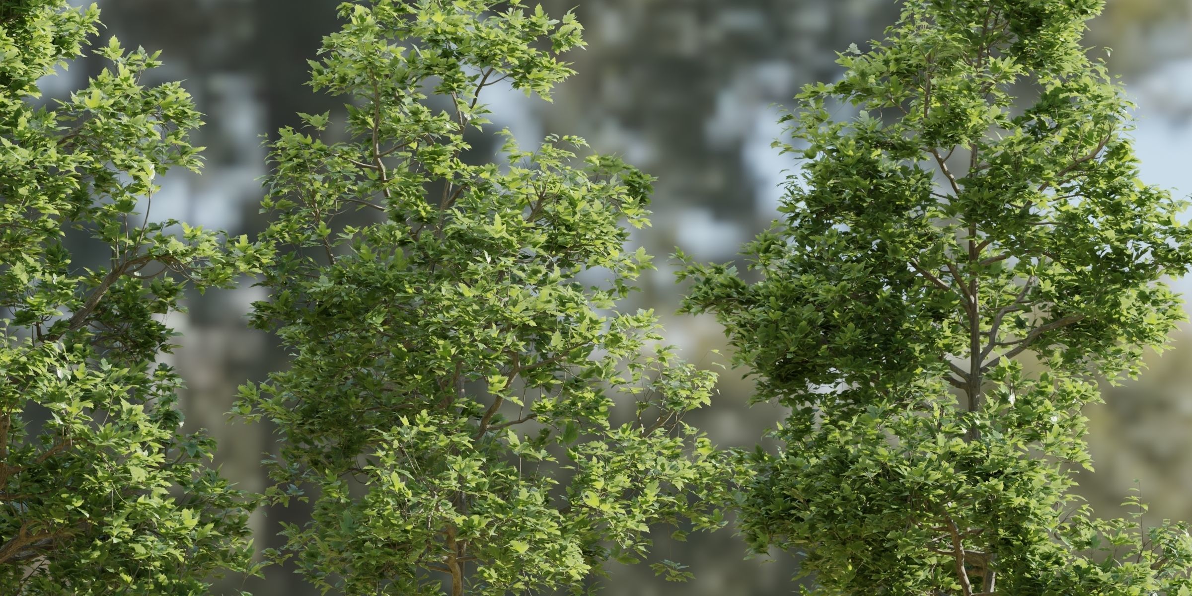 Trees collection vol 189-Blender 3D model_1