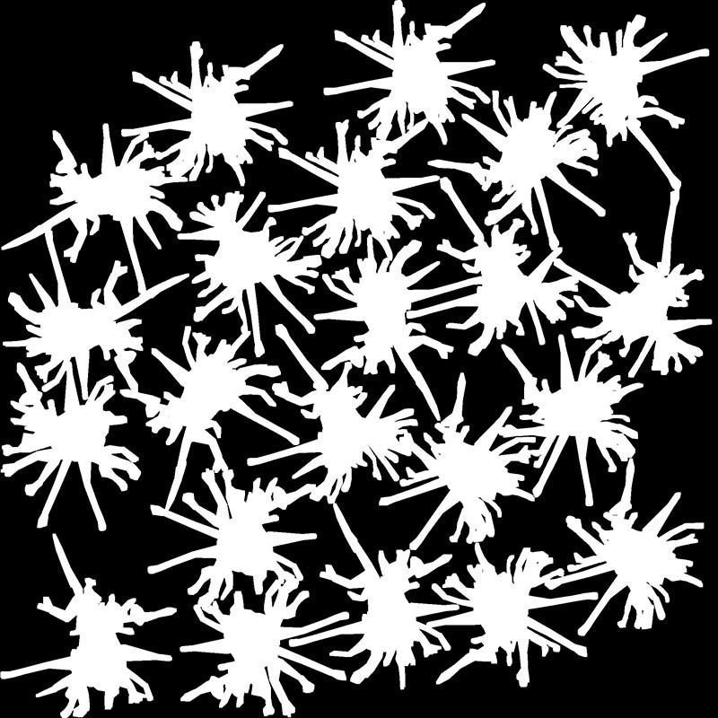 Sectioned eye anatomy model 3D model_7