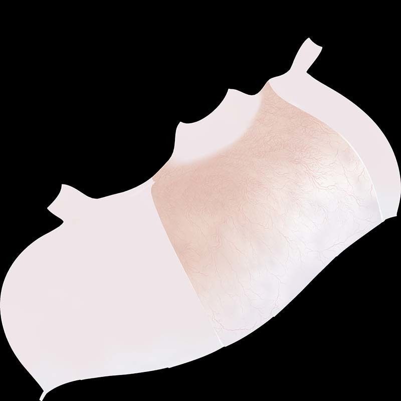 Sectioned eye anatomy model 3D model_12