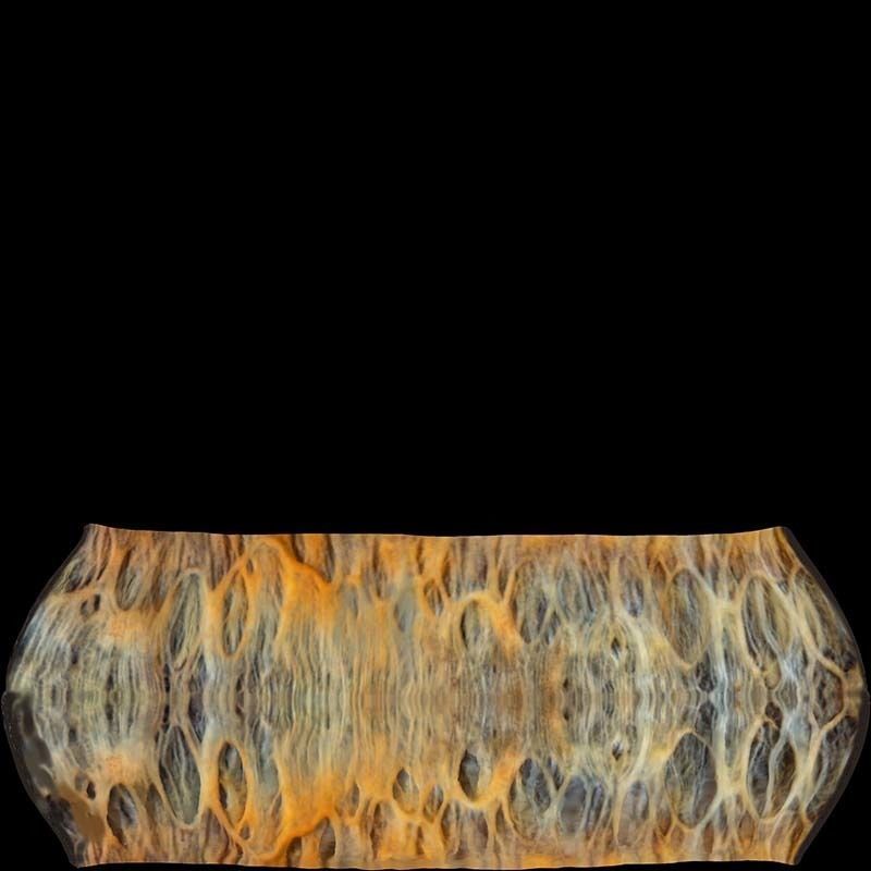 Sectioned eye anatomy model 3D model_8