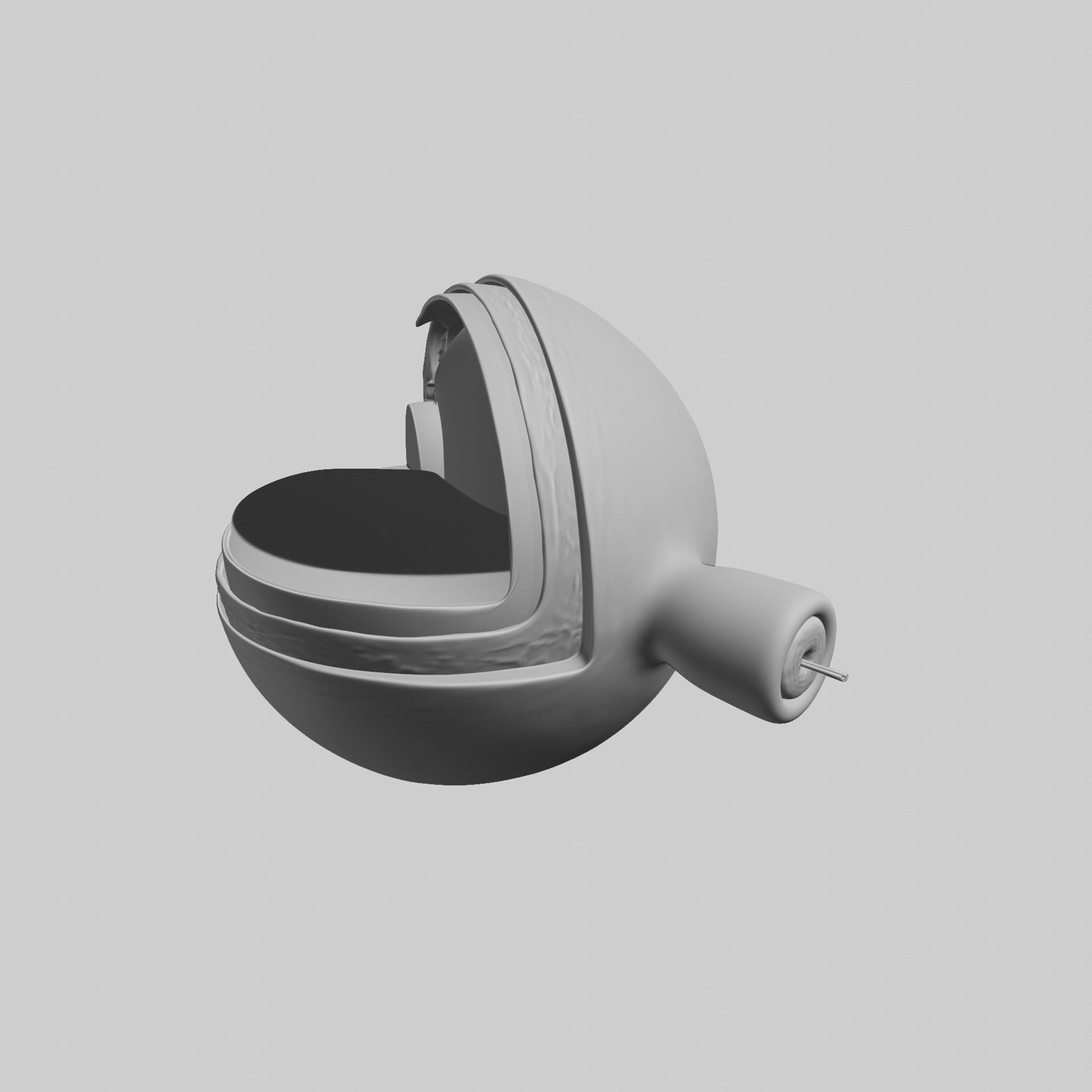 Sectioned eye anatomy model 3D model_9