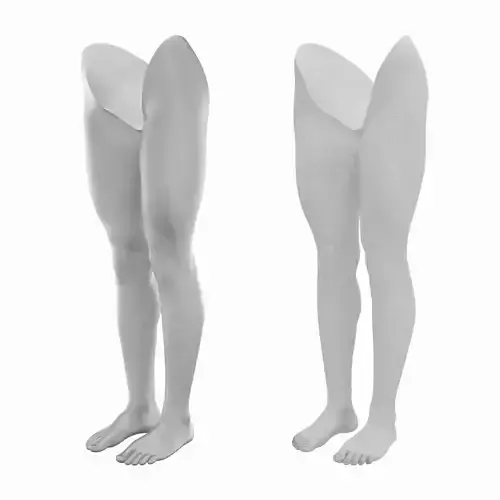 Female Legs Anatomical Base Mesh 3D model